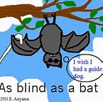Image result for Blind Bat Meme