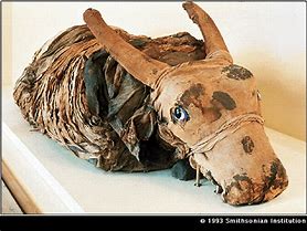 Image result for Peat Bog Mummies