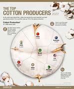 Image result for Cotton Infagraphic