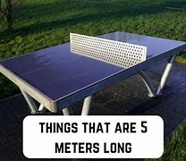 Image result for Things That Are 5 Meters