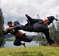 Image result for silat