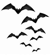 Image result for Drawings of Bats Flying