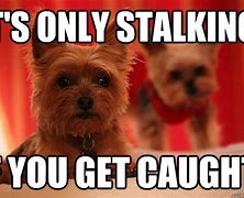 Image result for Facebook Stalker Funny Memes