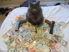 Image result for Rich Fat Cat