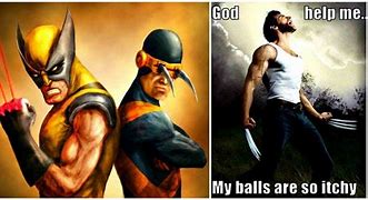 Image result for Wolverine Ball Meme