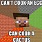 Image result for Funniest Minecraft Memes