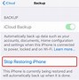 Image result for Factory Reset iPhone 5S