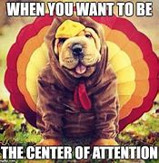 Image result for Funny Holiday Memes Thanksgiving