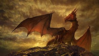 Image result for Dragon Chillin