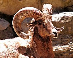 Image result for Oldest Ram