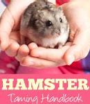 Image result for Color of Hamsters