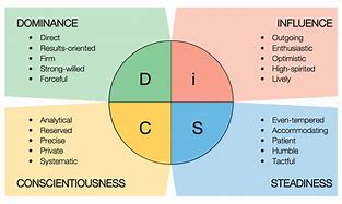 Image result for Disc Assessment Meaning