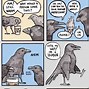 Image result for Crow Meme