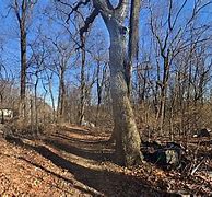 Image result for Allentown PA Mountains
