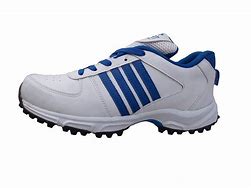 Image result for Sega Cricket Shoes