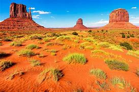 Image result for Things That Represent Arizona