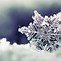 Image result for Winter Wallpaper iPad Christmas