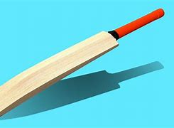 Image result for White Cricket Bat