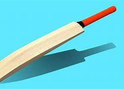 Image result for Sport Cricket Bat