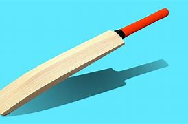 Image result for Standard Cricket Bat