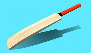 Image result for Cricket Bat Graphity