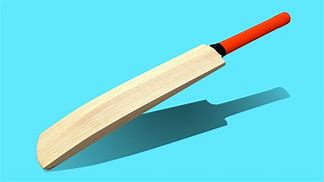 Image result for Indian Cricket Bat and Ball