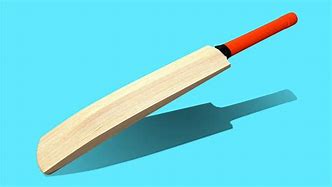 Image result for First Cricket Bat