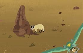 Image result for Wild Kratts Bat-Eared Fox