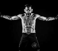 Image result for MMA Fighters Top 10