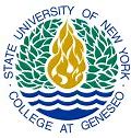 Image result for New York State University