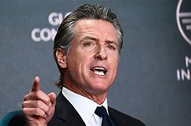 Image result for Gavin Newsom not running