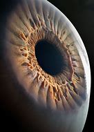 Image result for Artistic Eye Photography