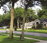Image result for Downtown Valrico FL