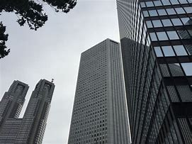 Image result for Park Hyatt Tokyo