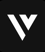 Image result for VN Video Logo