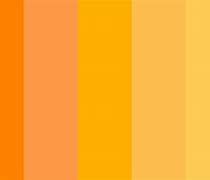 Image result for iPhone SE Bright Colors