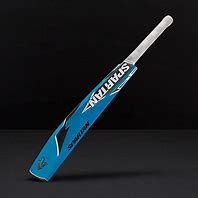 Image result for Blue Color Bat Cricket