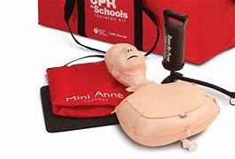 Image result for Child CPR Training Kit