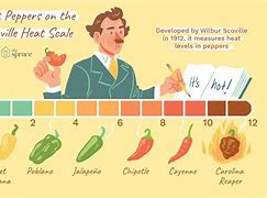 Image result for Takis Scoville Units