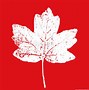 Image result for Green Maple Leaf Logo
