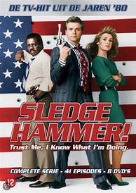 Image result for Sledge Hammer TV Show