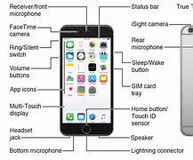 Image result for iPhone 7 Cellular Button