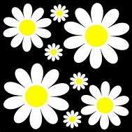 Image result for Daisy Flower Decal