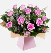 Image result for Bliss Family Rose