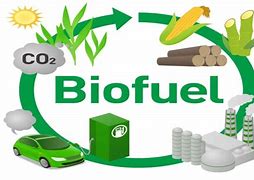 Image result for Biofuel Sources