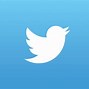 Image result for Twitter Bird Logo Crashing