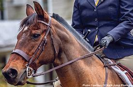 Image result for Kimberwick Bit with Reins