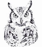 Image result for Great Horned Owl Clip Art