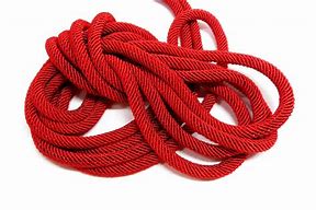 Image result for Black White Red Braided Cord