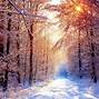 Image result for Winter Snow Scenes Round